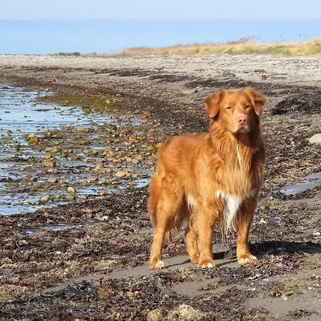 Lejlighed Ostscheune Am Muehlendamm - Meerblick, Sauna Und Ofen *