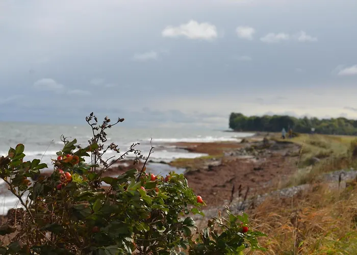 Ostscheune Am Muehlendamm - Meerblick, Sauna Und Ofen Steinbergkirche